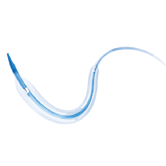 Tadpole™ / Mini Tadpole™ Coronary Dilatation Catheter