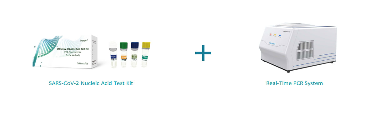 PCR Fluorescence Probing