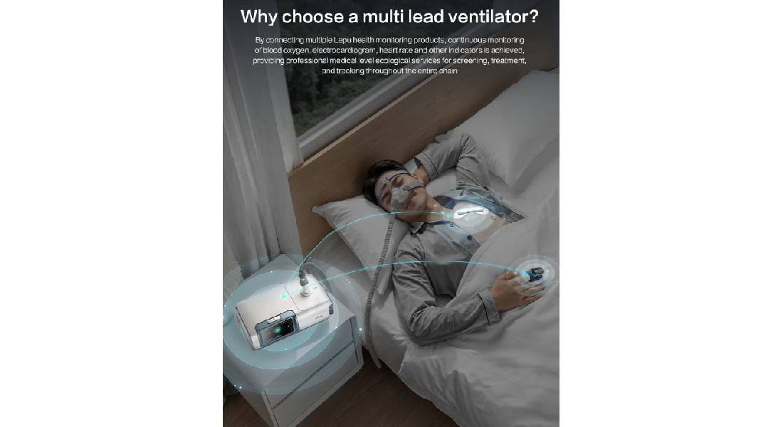 g20250868a67c0a6d8a2.png alt class title            Lepu