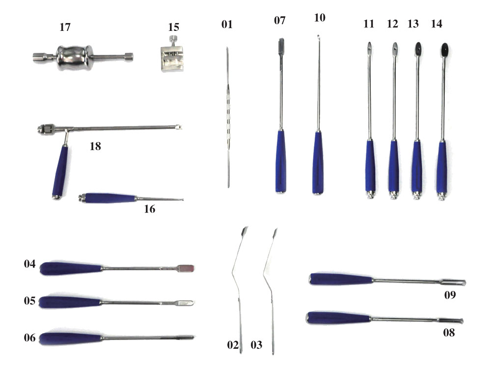 Instrument Set for Thoracolumbar Cage (I)