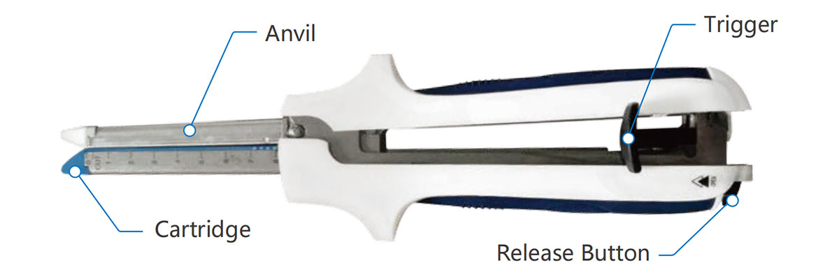 Disposable Linear Cutter (Scalpel on the Cartridge)