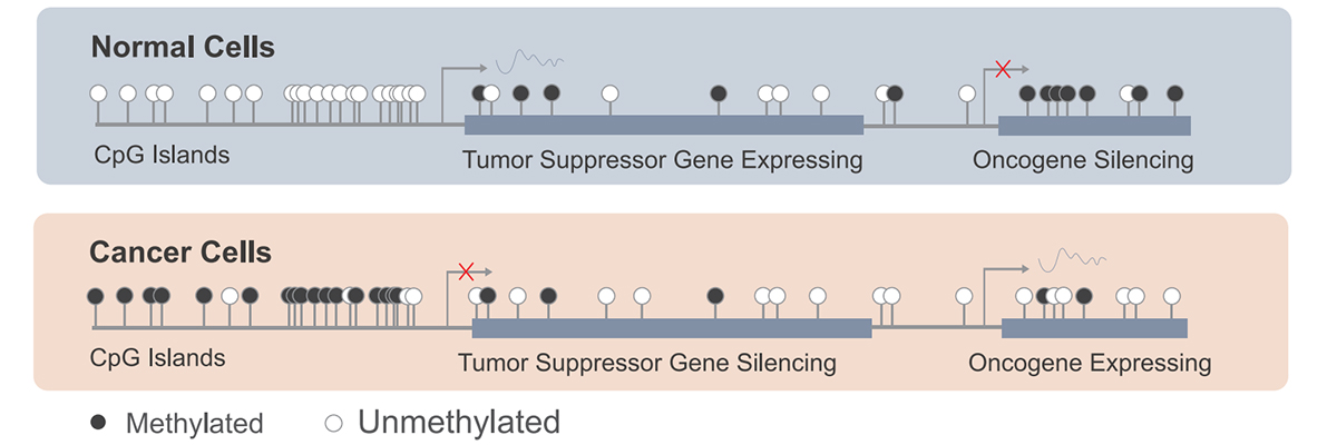 DNA Methylation: Earlier Signal Catching